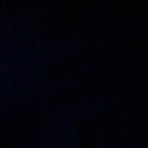 Meet your Posher, Wayne